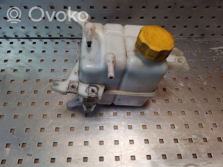 Opel Antara Coolant expansion tank/reservoir 96837836