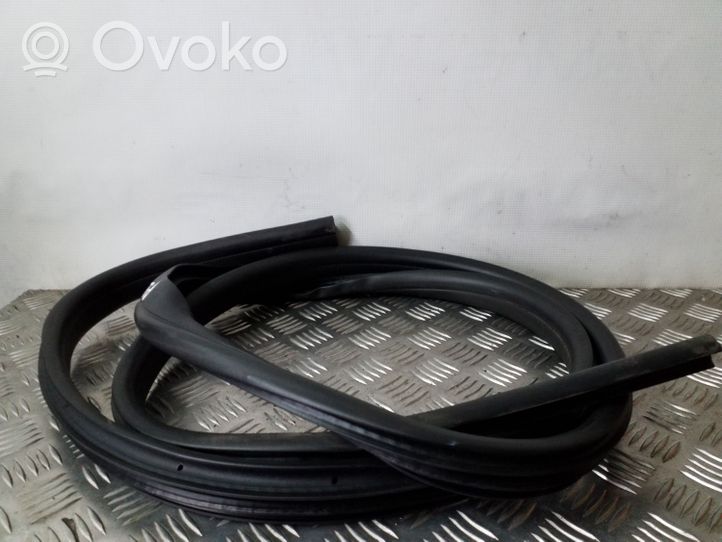 Ford Focus Front door rubber seal 