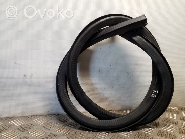 Volkswagen PASSAT CC Rear door rubber seal (on body) 3C8867913