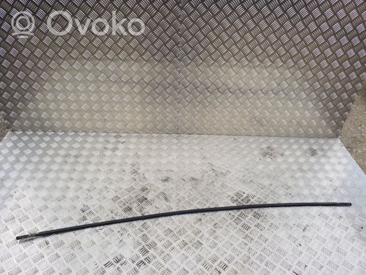 Toyota Avensis T270 Apdailinė stogo juosta "moldingas" 