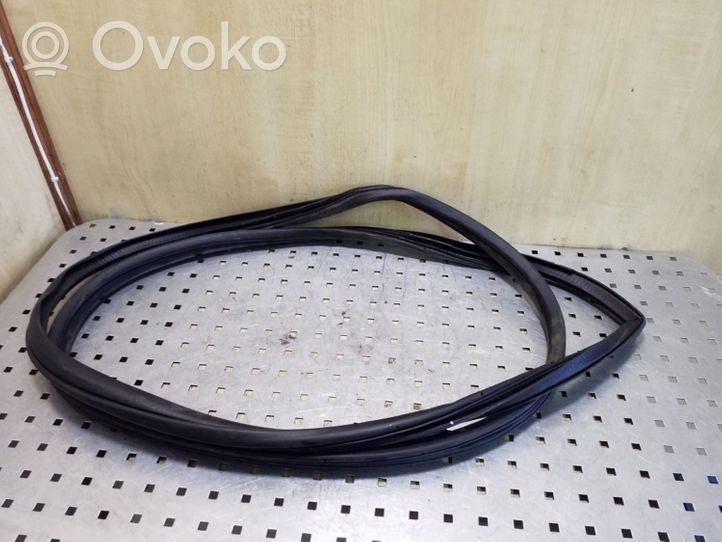 Mitsubishi Outlander Front door rubber seal 