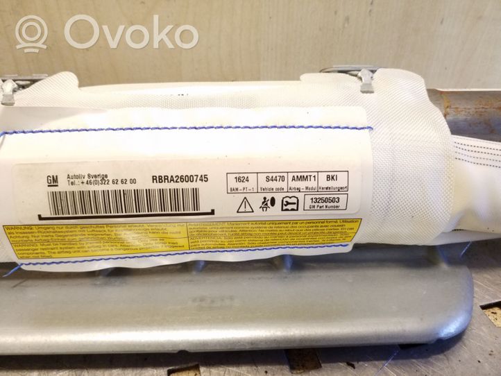 Opel Meriva B Airbag del techo 13250503