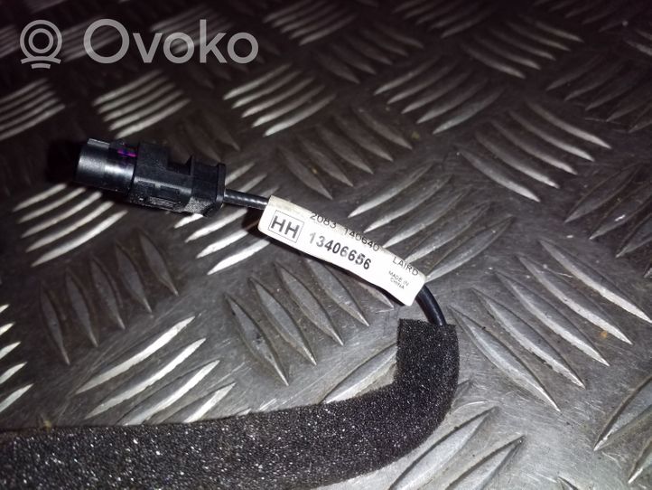 Opel Zafira C Radio antenna 13406656