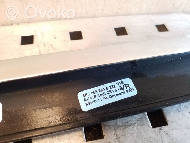 Audi Q5 SQ5 Rivestimento modanatura del vetro della portiera anteriore 8R0853284E