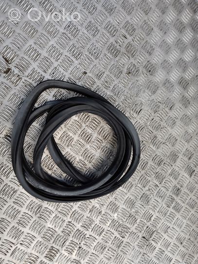 Hyundai Santa Fe Front door rubber seal 