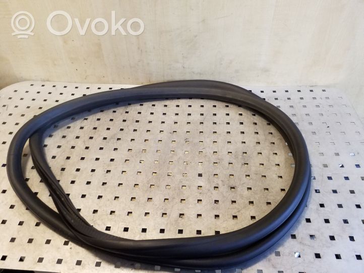 Opel Zafira C Front door rubber seal 13259937