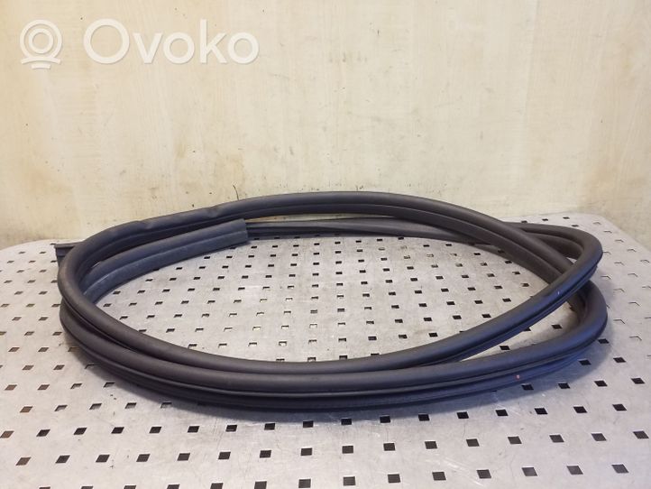 Ford Focus C-MAX Front door rubber seal 