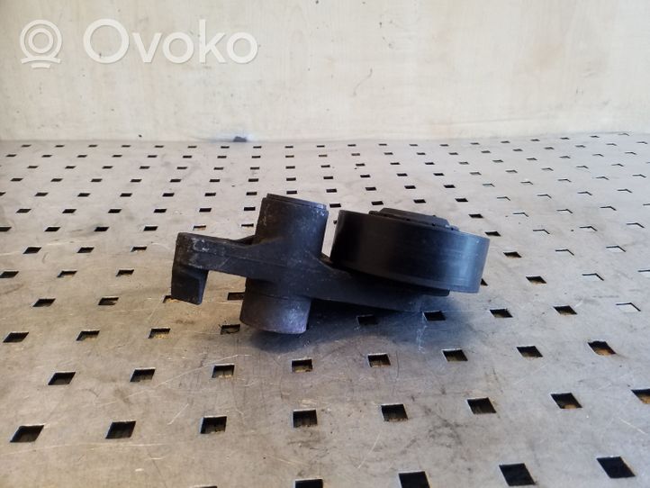 Volkswagen Touareg I Napinacz paska alternatora 059145201F