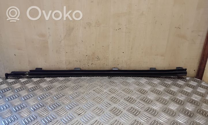 Volkswagen Polo IV 9N3 Moulures des vitres de la porte avant 