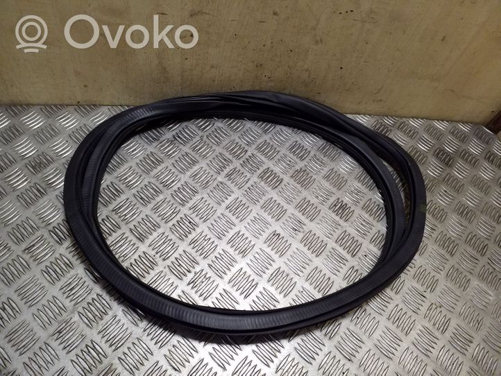 Volkswagen Polo V 6R Rear door rubber seal (on body) 6R6867911B