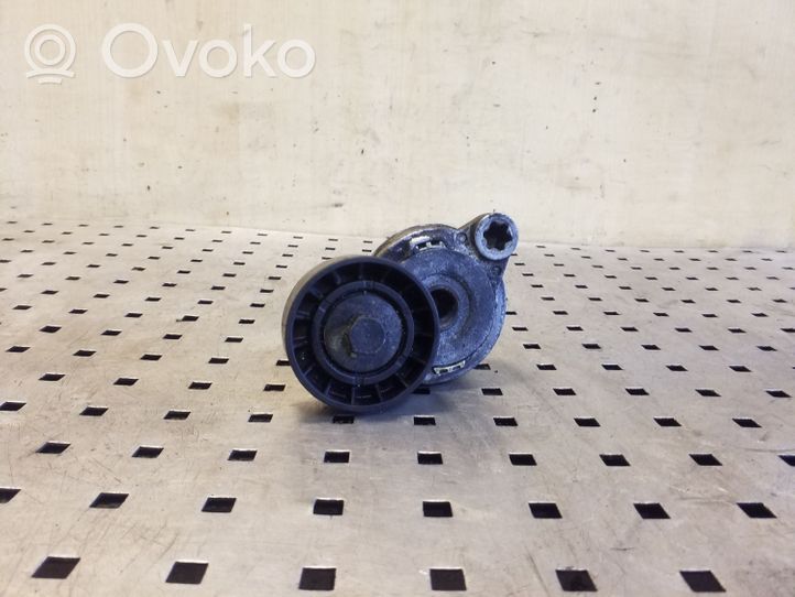 Volvo XC70 Tendicinghia generatore/alternatore 