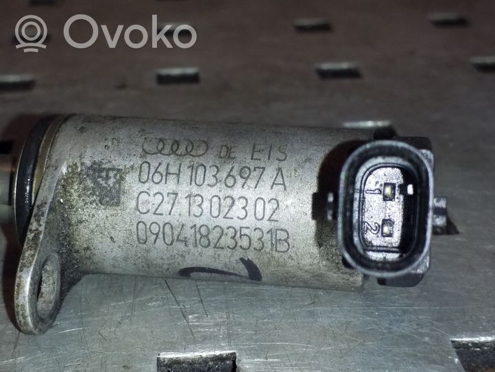 Audi Q5 SQ5 Zawór sterujący / Ustawienia wałka rozrządu 06H103697A