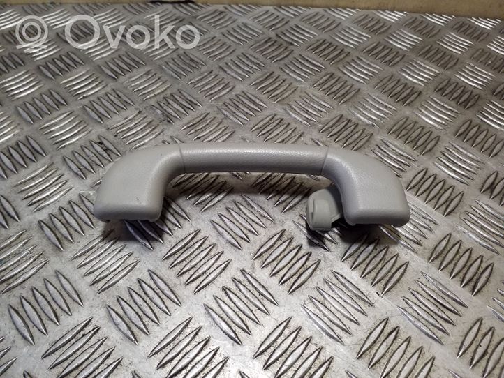 Chevrolet Captiva Rear interior roof grab handle 