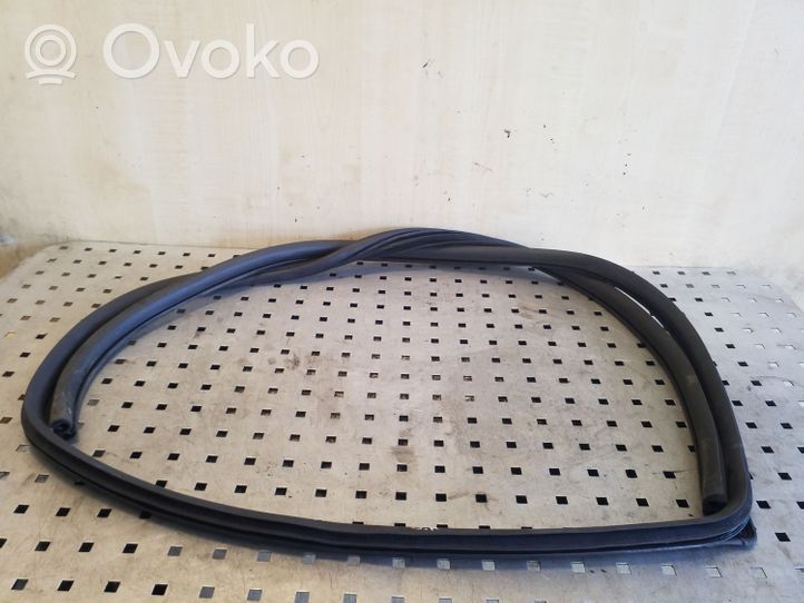 Chevrolet Captiva Rear door rubber seal (on body) 