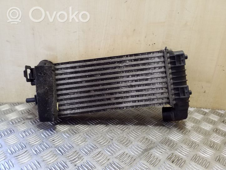 Ford Transit -  Tourneo Connect Radiatore intercooler BV619L440CJ