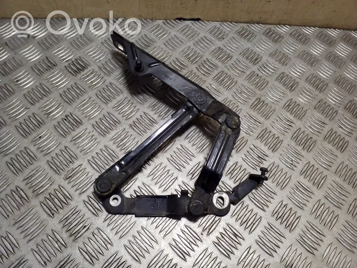 Audi TT TTS Mk2 Engine bonnet/hood hinges 8J0823301H