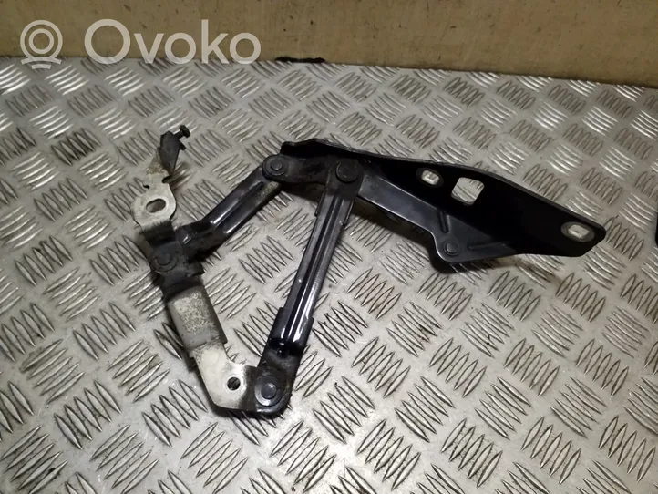 Audi TT TTS Mk2 Engine bonnet/hood hinges 8J0823301H