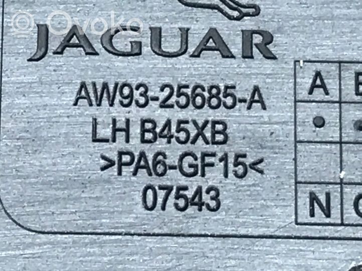 Jaguar XJ X351 Rivestimento del pannello della portiera posteriore AW9325685A