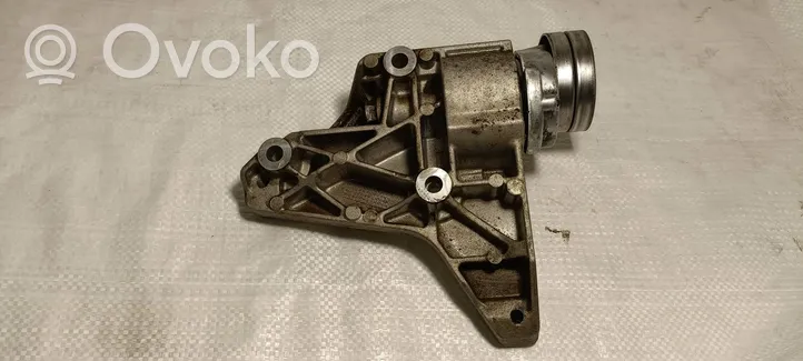 Skoda Yeti (5L) Napinacz paska wielorowkowego / Alternatora 03F260885