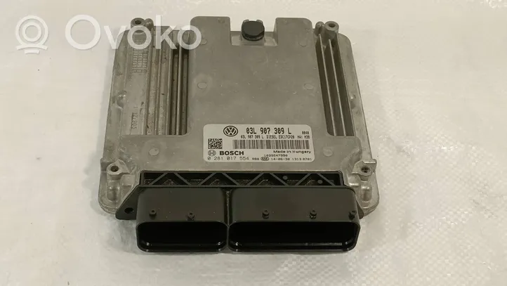 Volkswagen Transporter - Caravelle T5 Calculateur moteur ECU 03L907309L