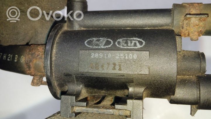 KIA Carens II Solenoidinis vožtuvas 2891025100