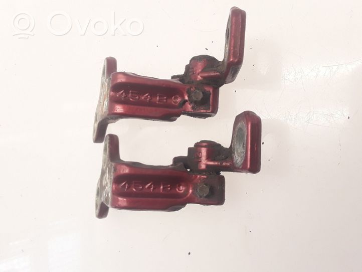 Jaguar X-Type Front door hinge set 1X4AF22800AE