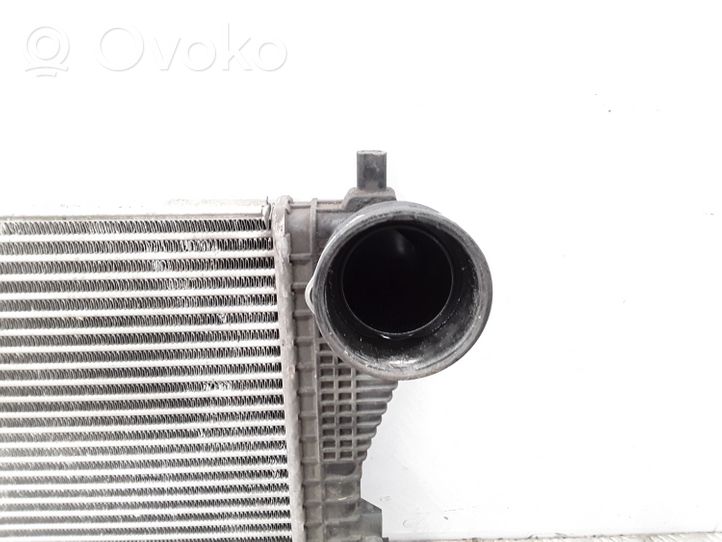 Volkswagen Golf V Radiatore intercooler 