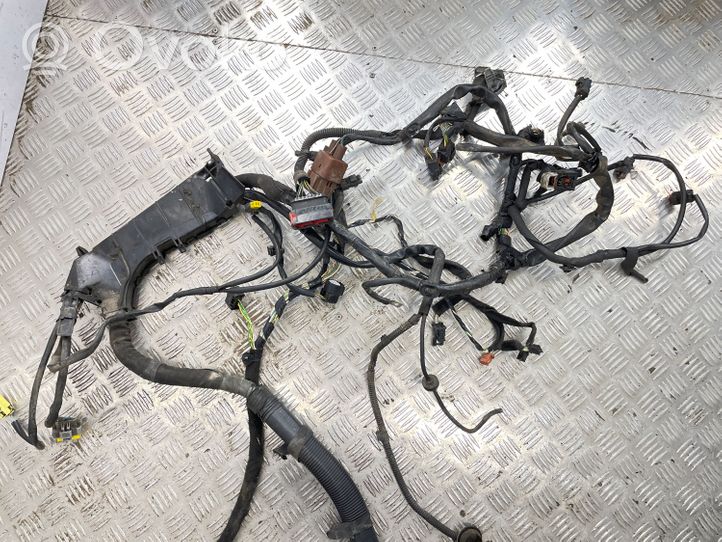 Citroen C6 Other wiring loom 9655438280