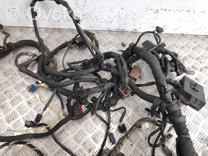 Citroen C6 Other wiring loom 6C31930