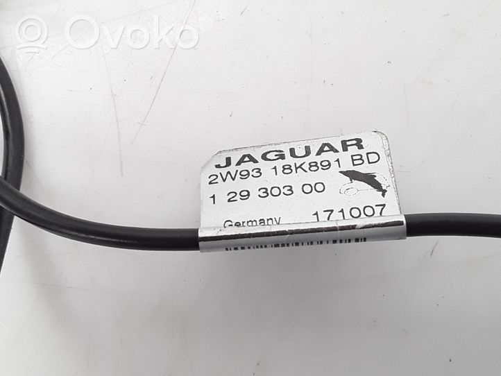 Jaguar XJ X350 Radion antenni 2W9318K891BD