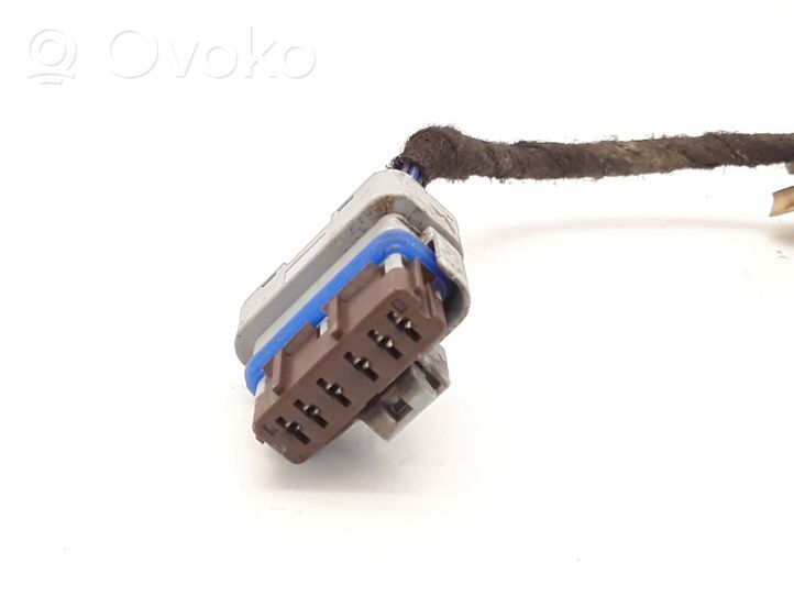 Citroen C3 Cableado de puerta trasera 9689005080