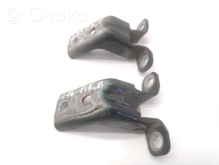 Jaguar S-Type Set di cerniere portiera anteriore 011N4A