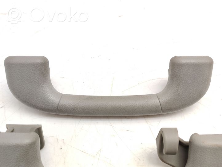 Chevrolet Captiva Front interior roof grab handle 