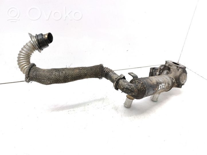 Citroen Berlingo EGR-venttiili/lauhdutin 9660276280