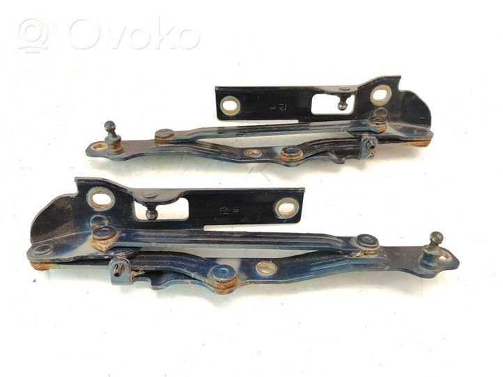 Hyundai Sonata Tailgate/trunk/boot hinge 