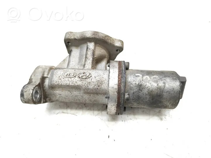 Hyundai Sonata EGR vārsts 2841027410