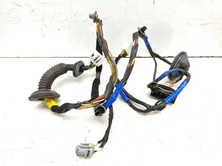 Hyundai Sonata Rear door wiring loom 916603K020