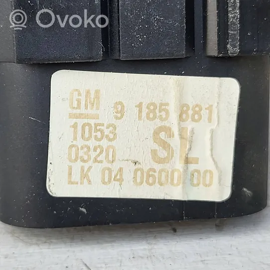 Opel Signum Lukturu slēdzis 9185881