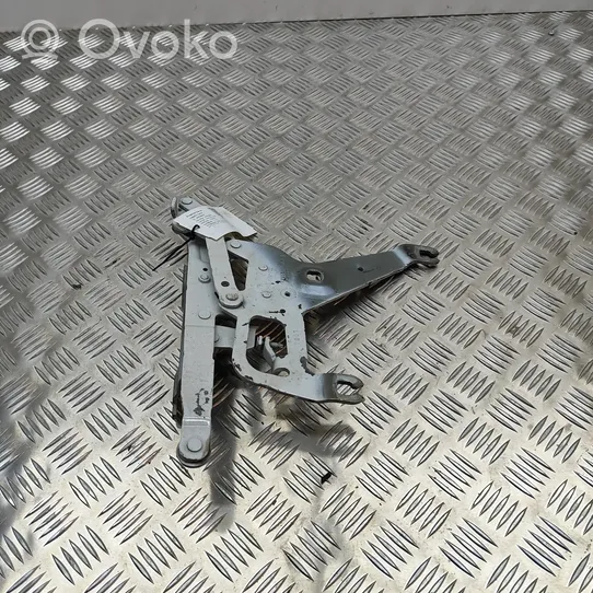 BMW X5 F15 Cerniere del vano motore/cofano 7294529