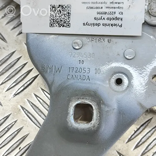 BMW X5 F15 Cerniere del vano motore/cofano 7294530