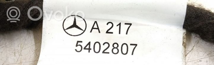 Mercedes-Benz S C217 Faisceau de câblage de porte avant 