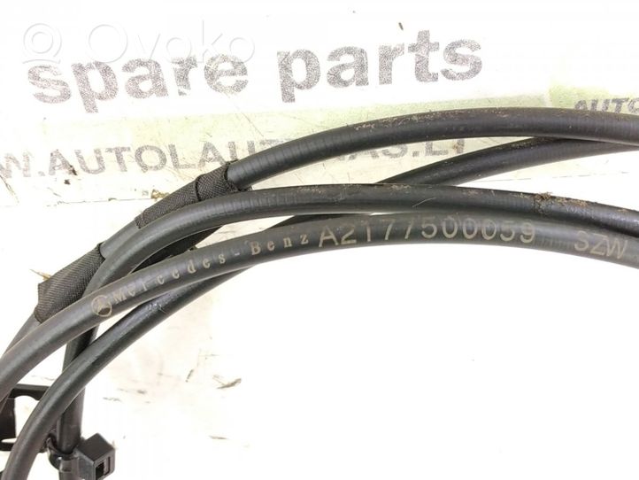 Mercedes-Benz S C217 Cavo maniglia portiera di carico 2177500059