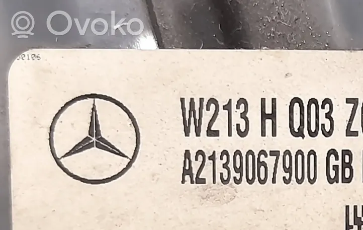 Mercedes-Benz E W213 Galinis žibintas kėbule 
