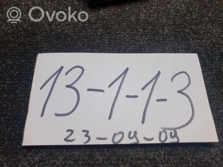 Opel Signum Sterownik / Moduł drzwi 13193368