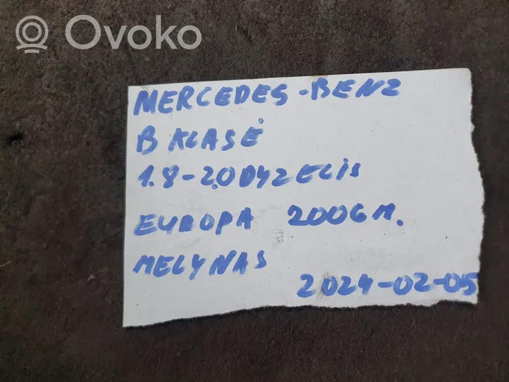 Mercedes-Benz B W245 Serrure de porte arrière 1697302235Q10