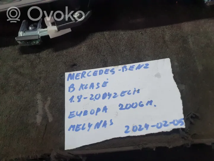 Mercedes-Benz B W245 Mécanisme de lève-vitre avec moteur A1697202979