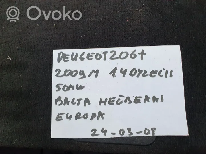 Peugeot 206+ Indicatore di direzione del parafango anteriore 