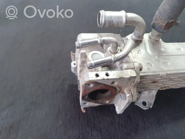 Volkswagen Golf Plus EGR valve cooler 038131513AD