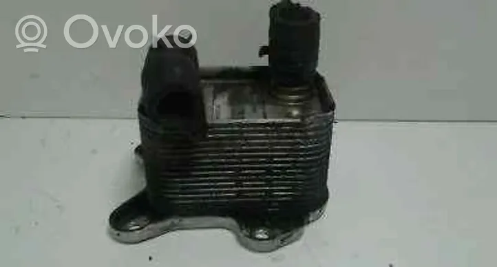 Opel Meriva A Engine oil radiator 8973235441