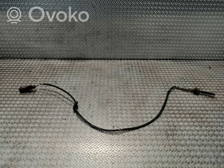 Volkswagen Crafter Išmetamųjų dujų temperatūros daviklis 070906088A